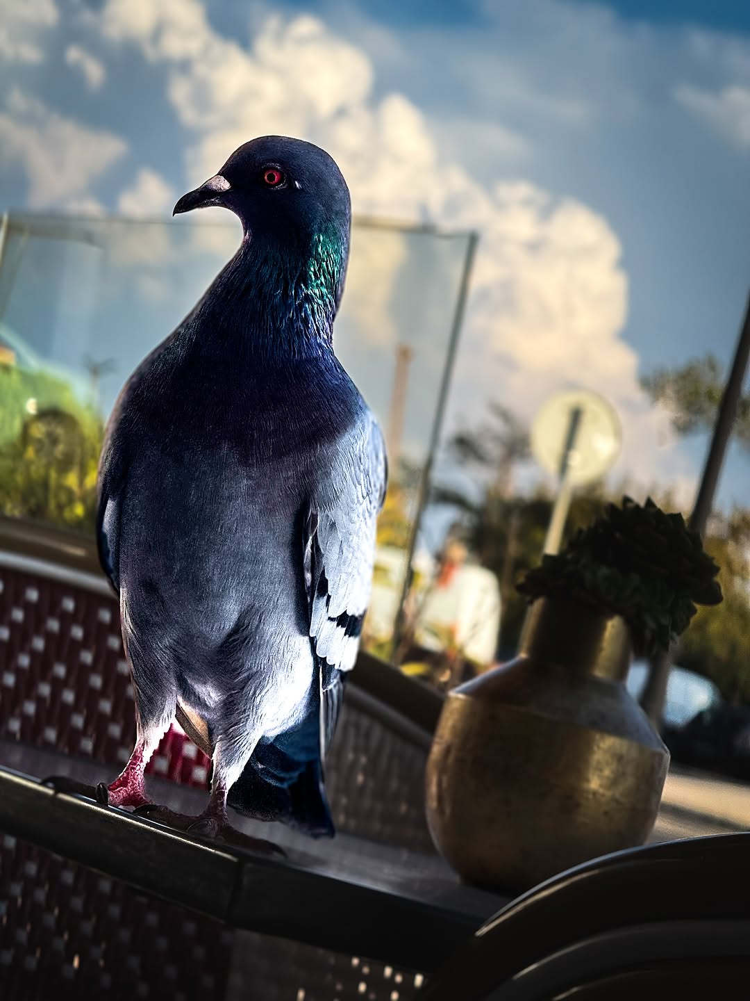 slider image