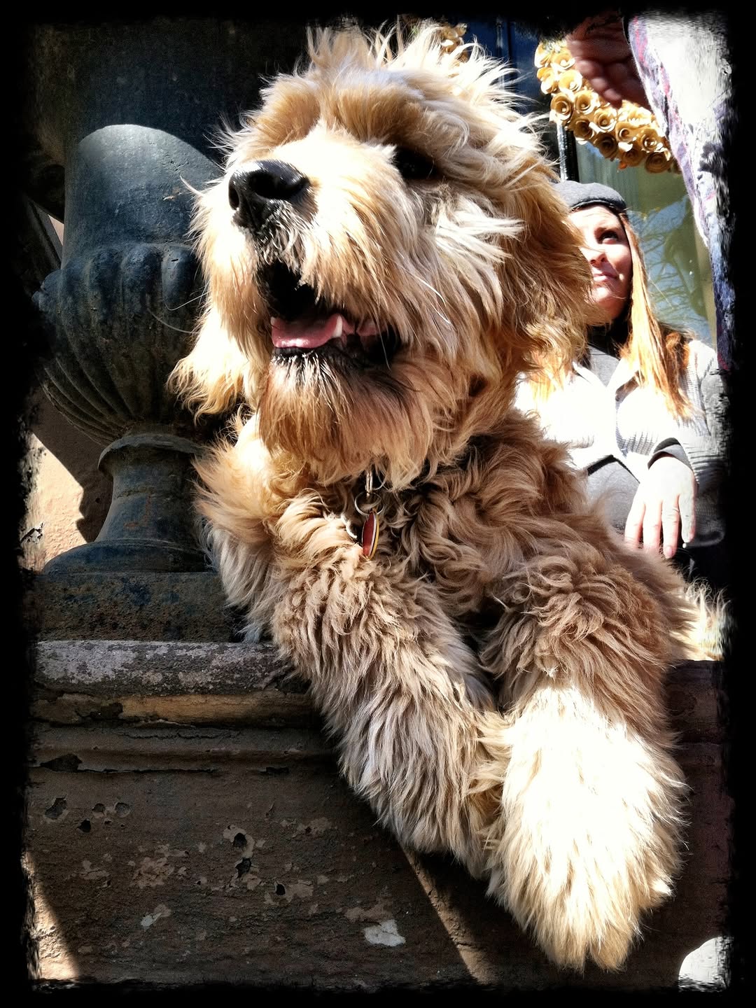 slider image