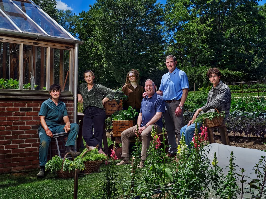 Doron Gild