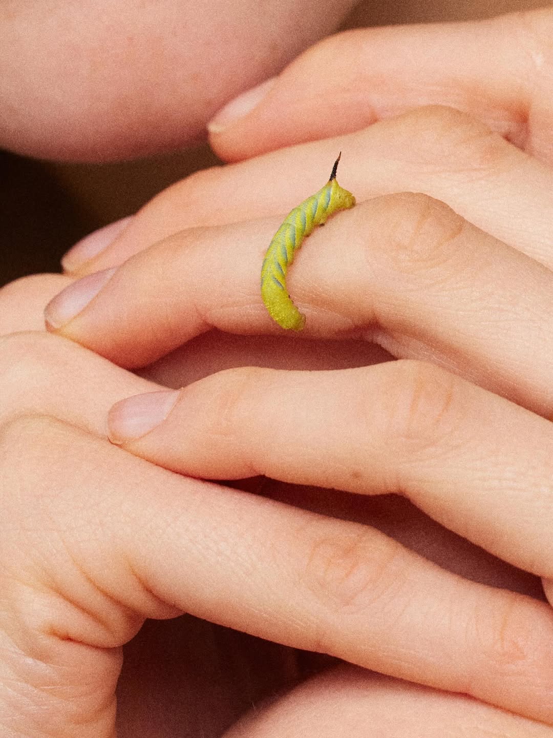 Douce d’Ivry Apr. 26