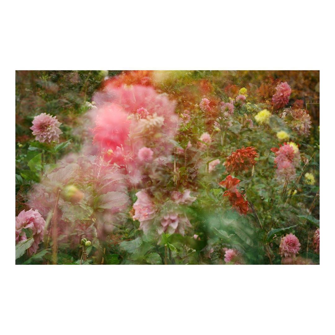 Pleasure Garden Magazine |  Jul. 20