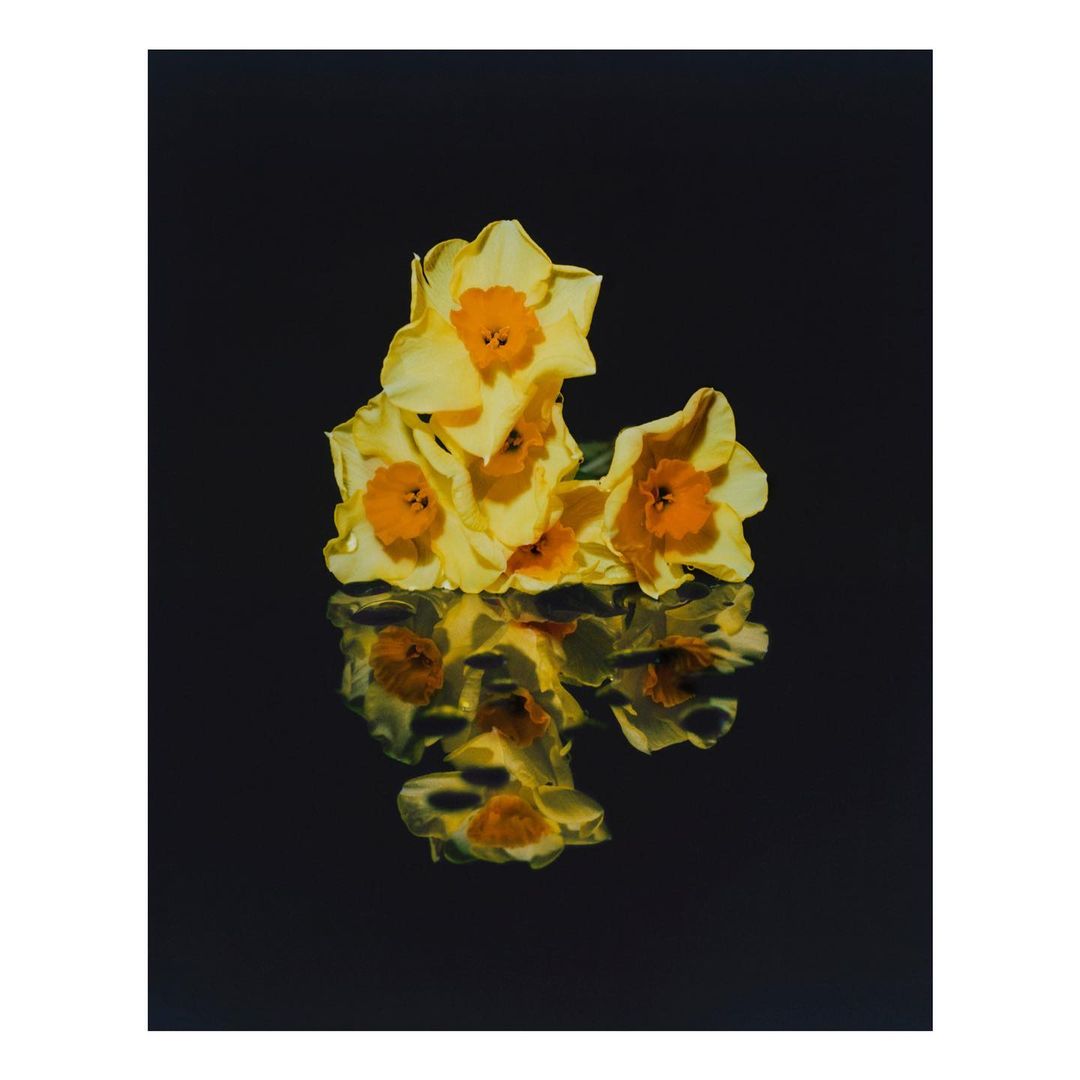 Jo Malone London |  Jun. 21