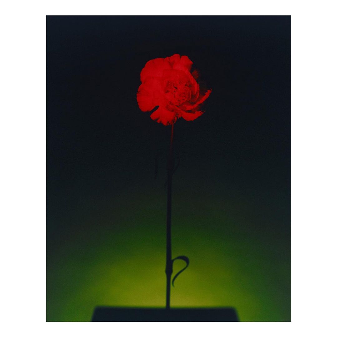 Jo Malone London |  Jun. 21