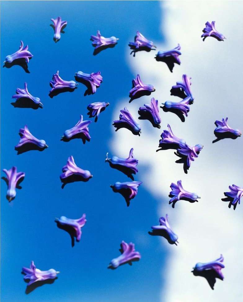 Jo Malone London |  Jun. 21