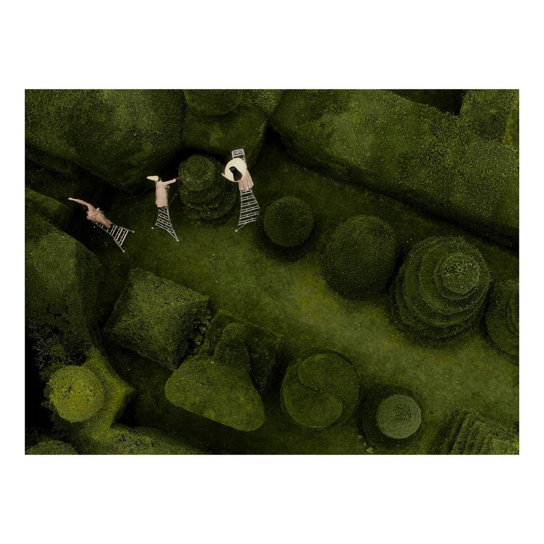 The Plant |  Nov. 21