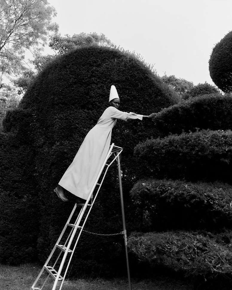 The Plant |  Nov. 21