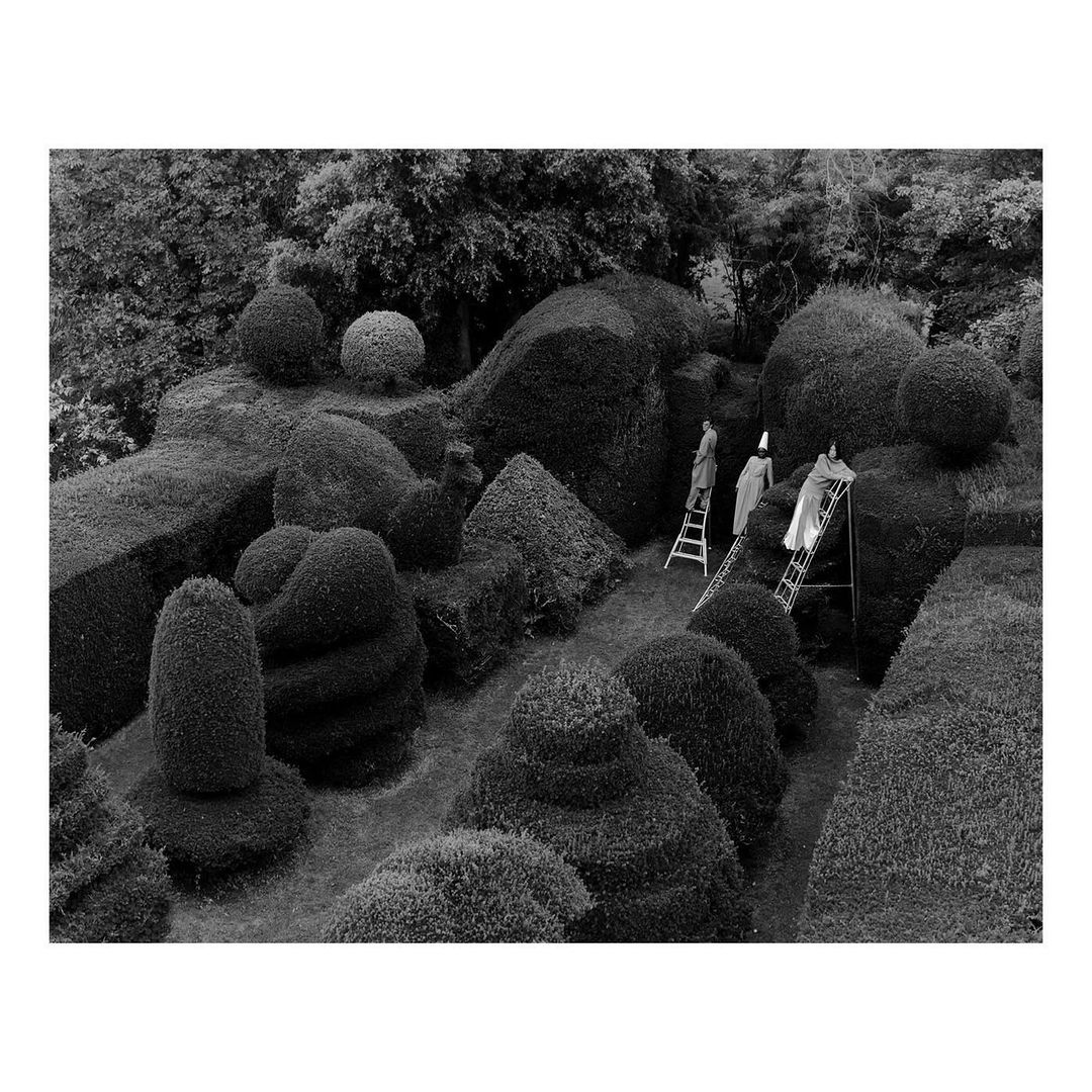 The Plant |  Nov. 21