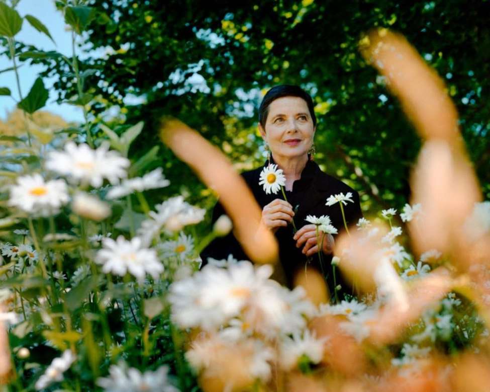 The Wall Street Journal |  Jul. 22