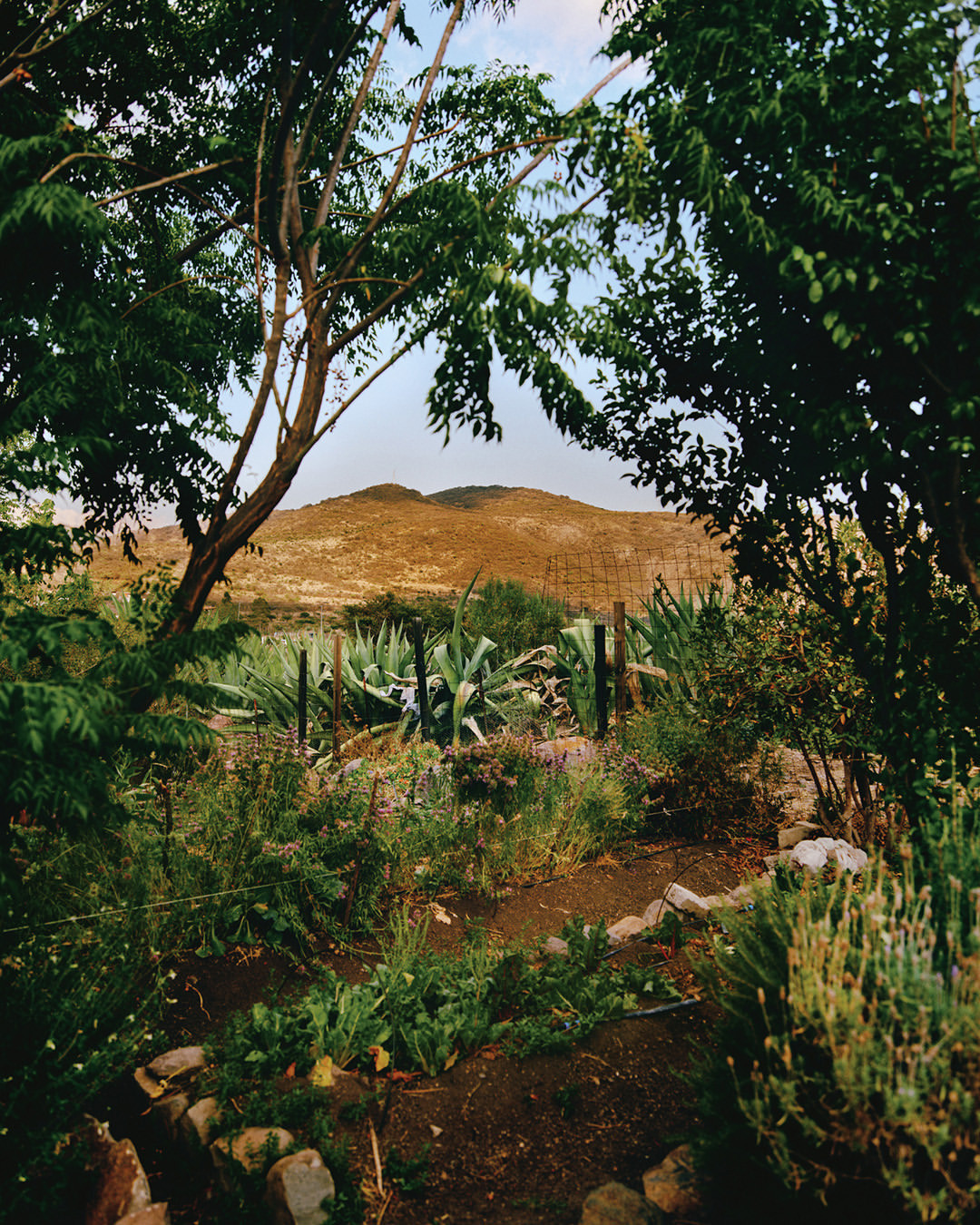 Heather Sten X Apartamento Magazine Oct. 25