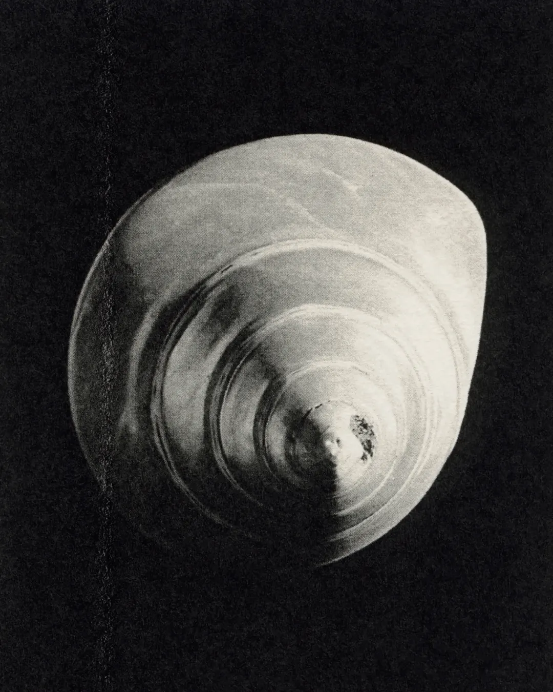 Kwabena Sekyi Appiah-nti X THREE TWO ONE MAGAZINE