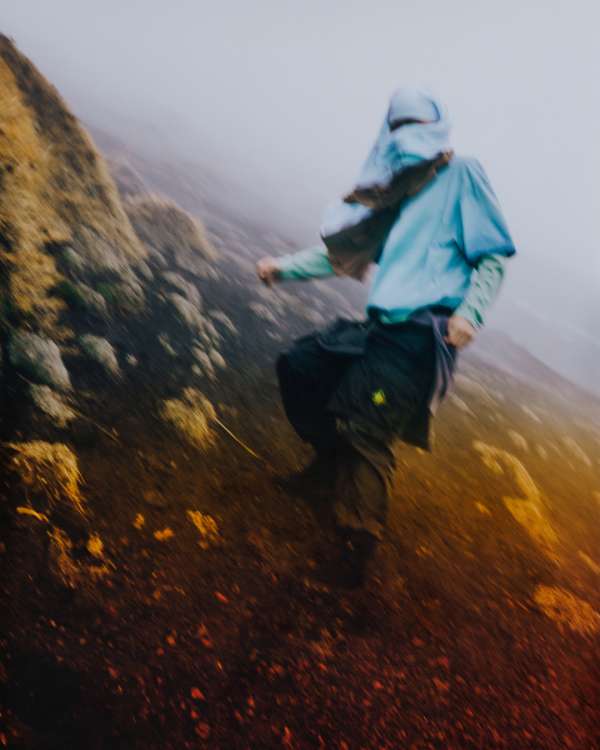 Alex F Webb