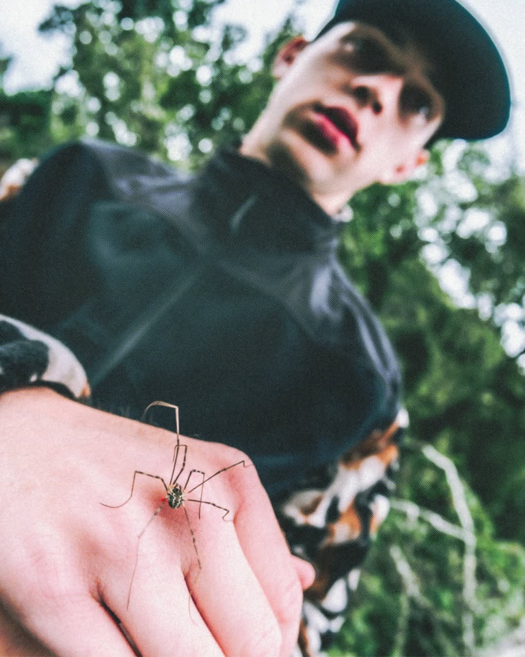 Alex F Webb X Gramicci