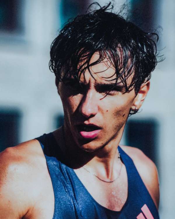 Alex F Webb