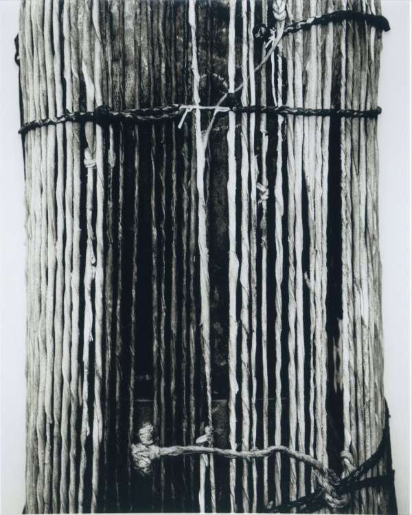 Eduard Sánchez Ribot