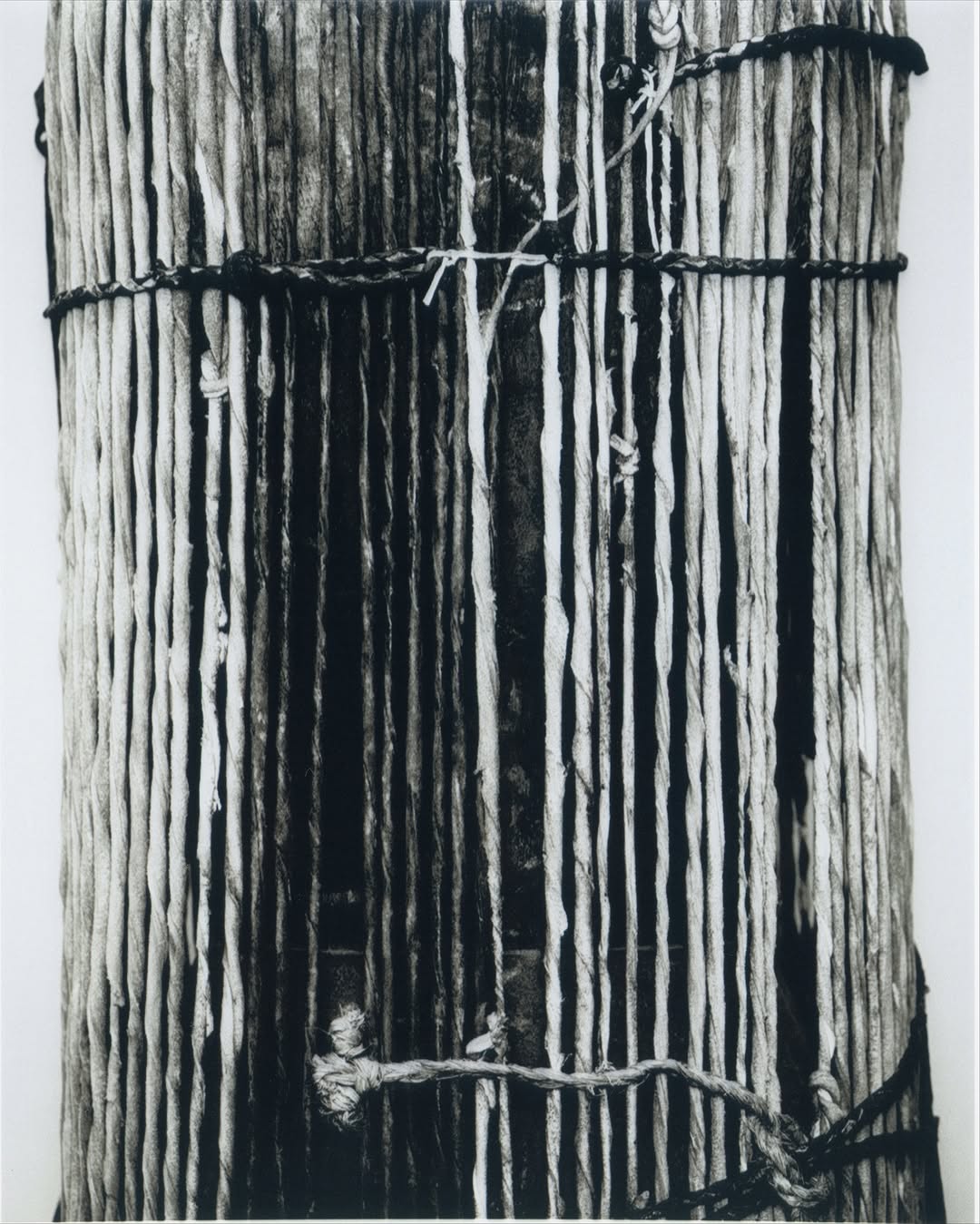 Eduard Sánchez Ribot X present space Nov. 25