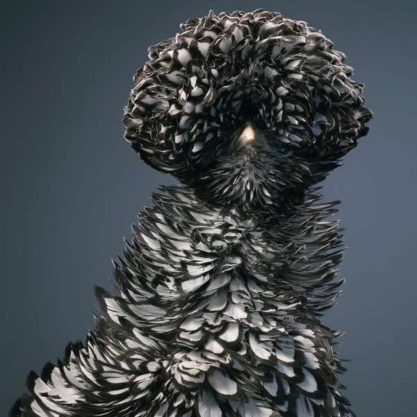 Tim Flach