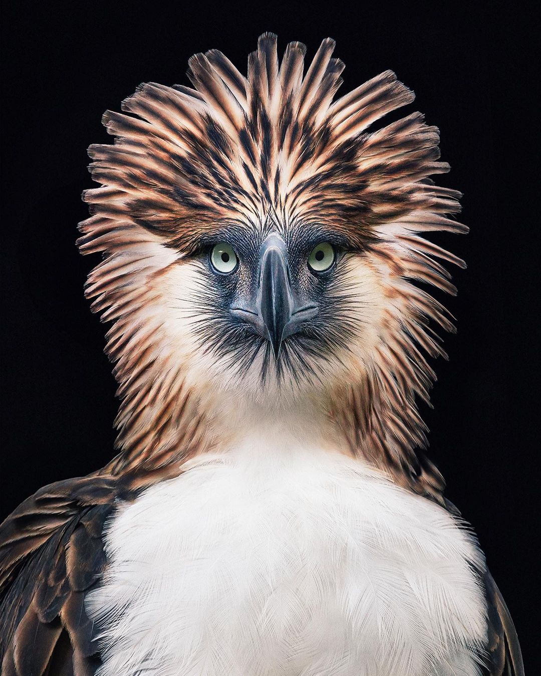 Tim Flach