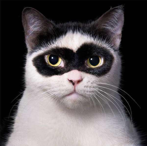 Tim Flach