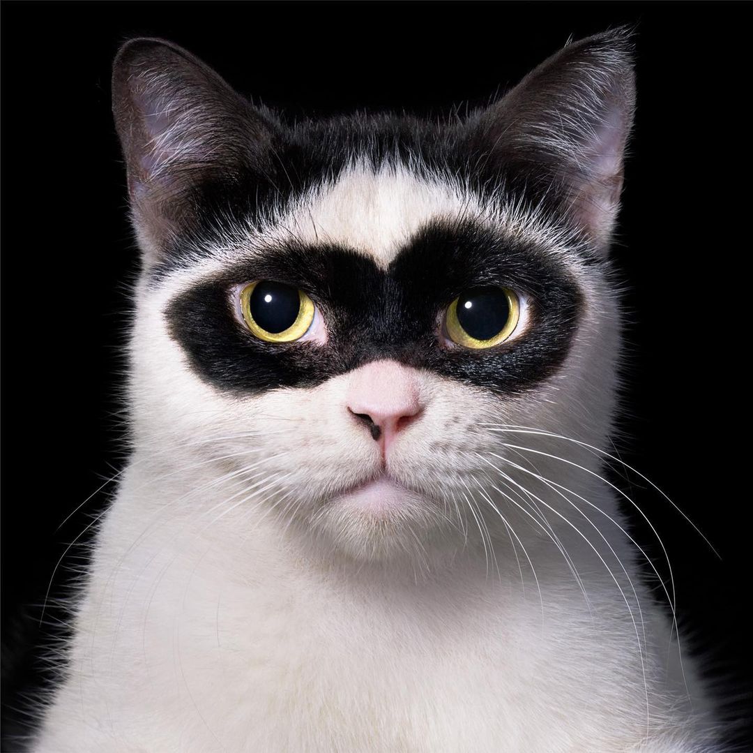 Tim Flach
