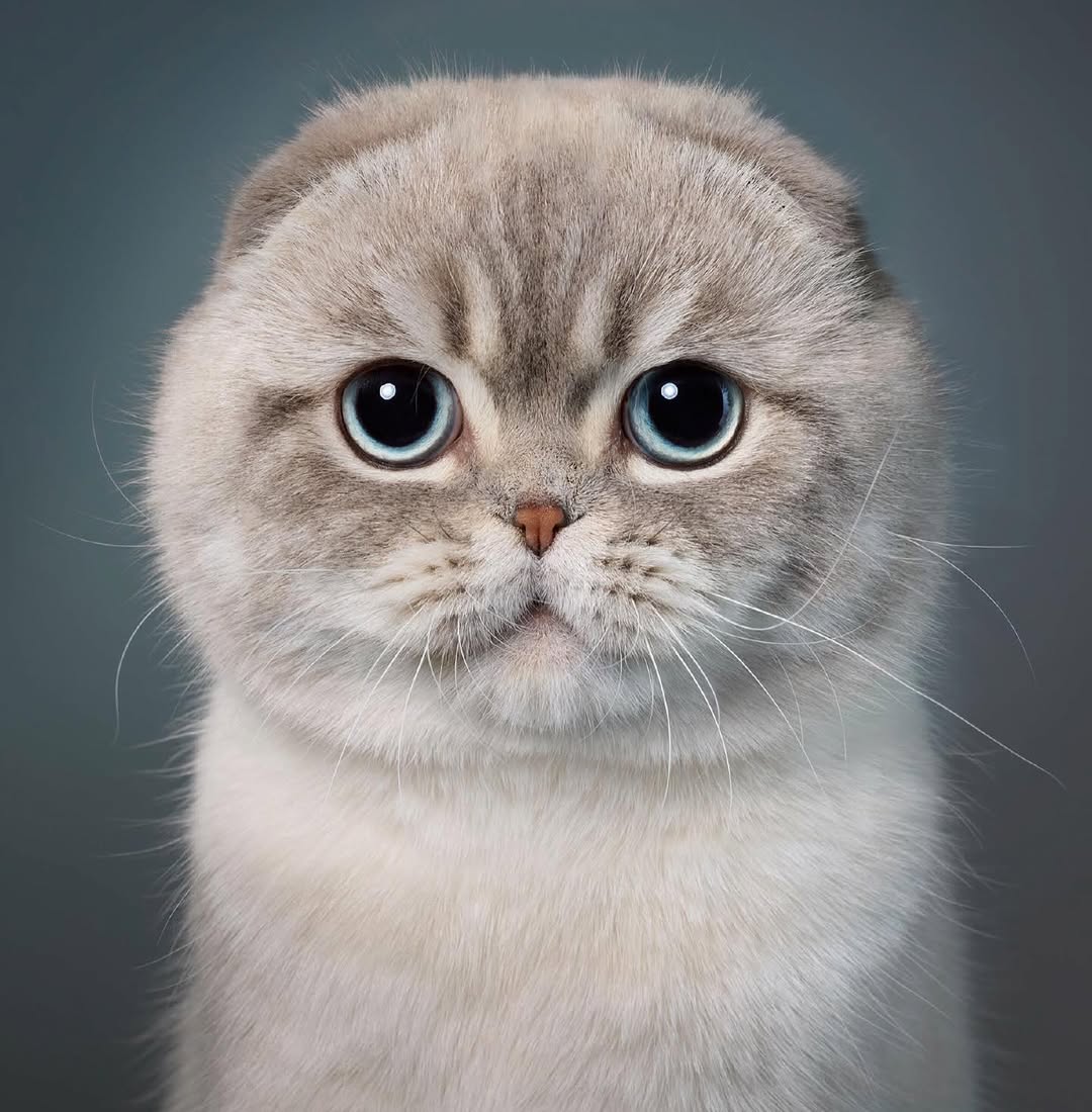 Tim Flach