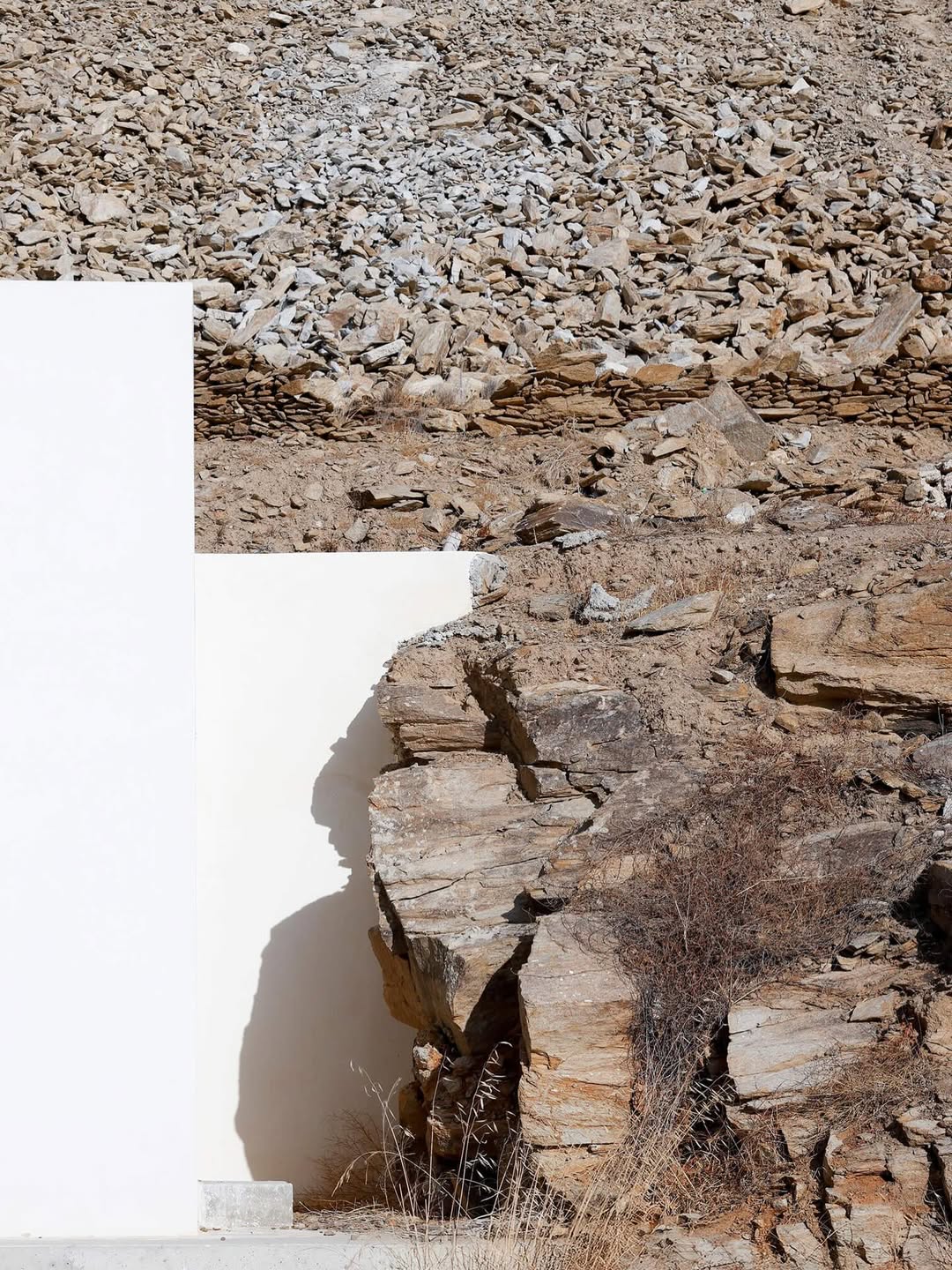 Claire Curt X Petit Pan Feb. 26