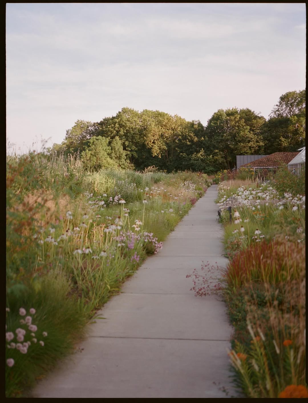 Elizabeth Heltoft X A Magazine Curated By Oct. 25