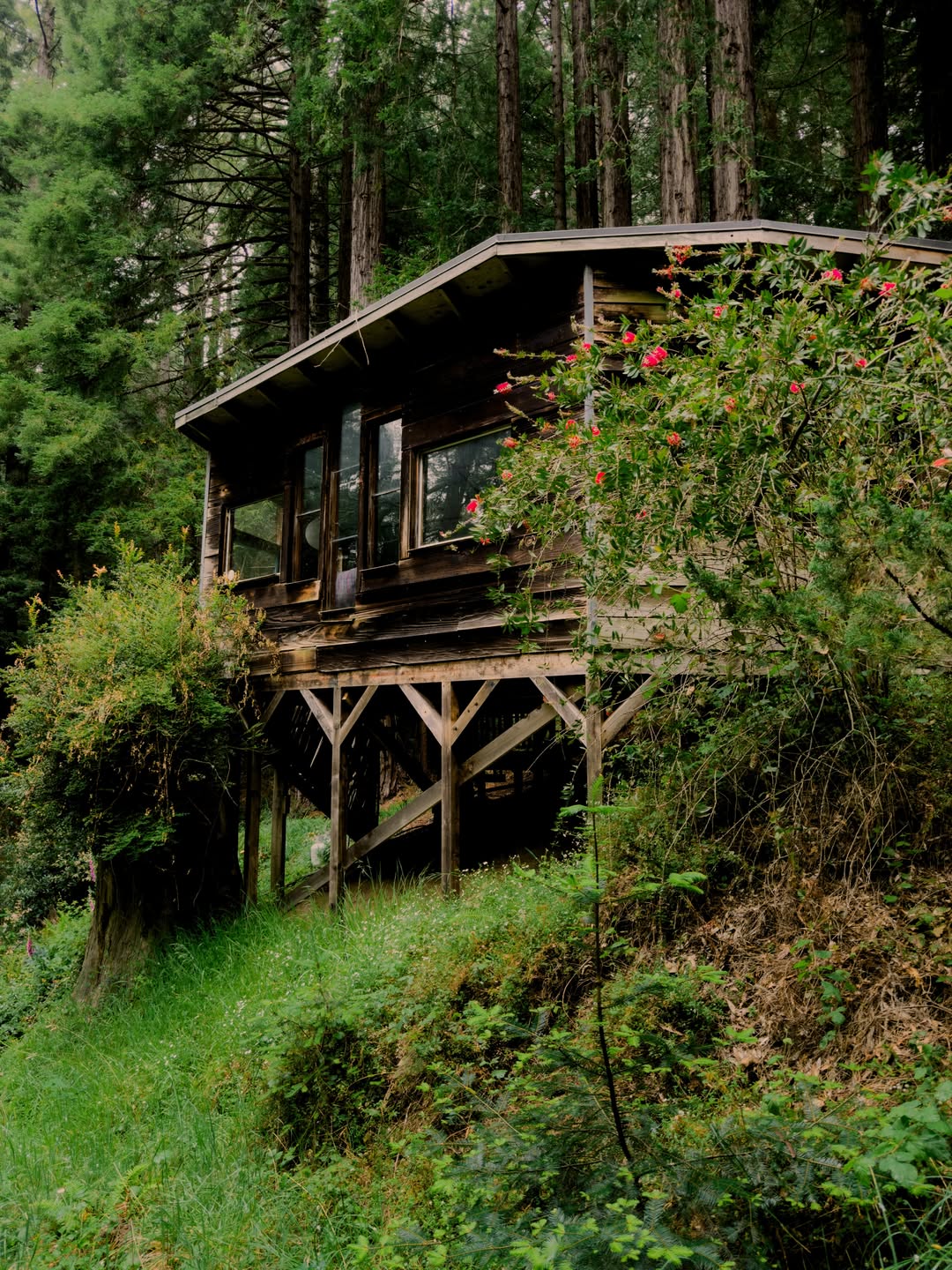 Elizabeth Weinberg X Salmon Creek Farm