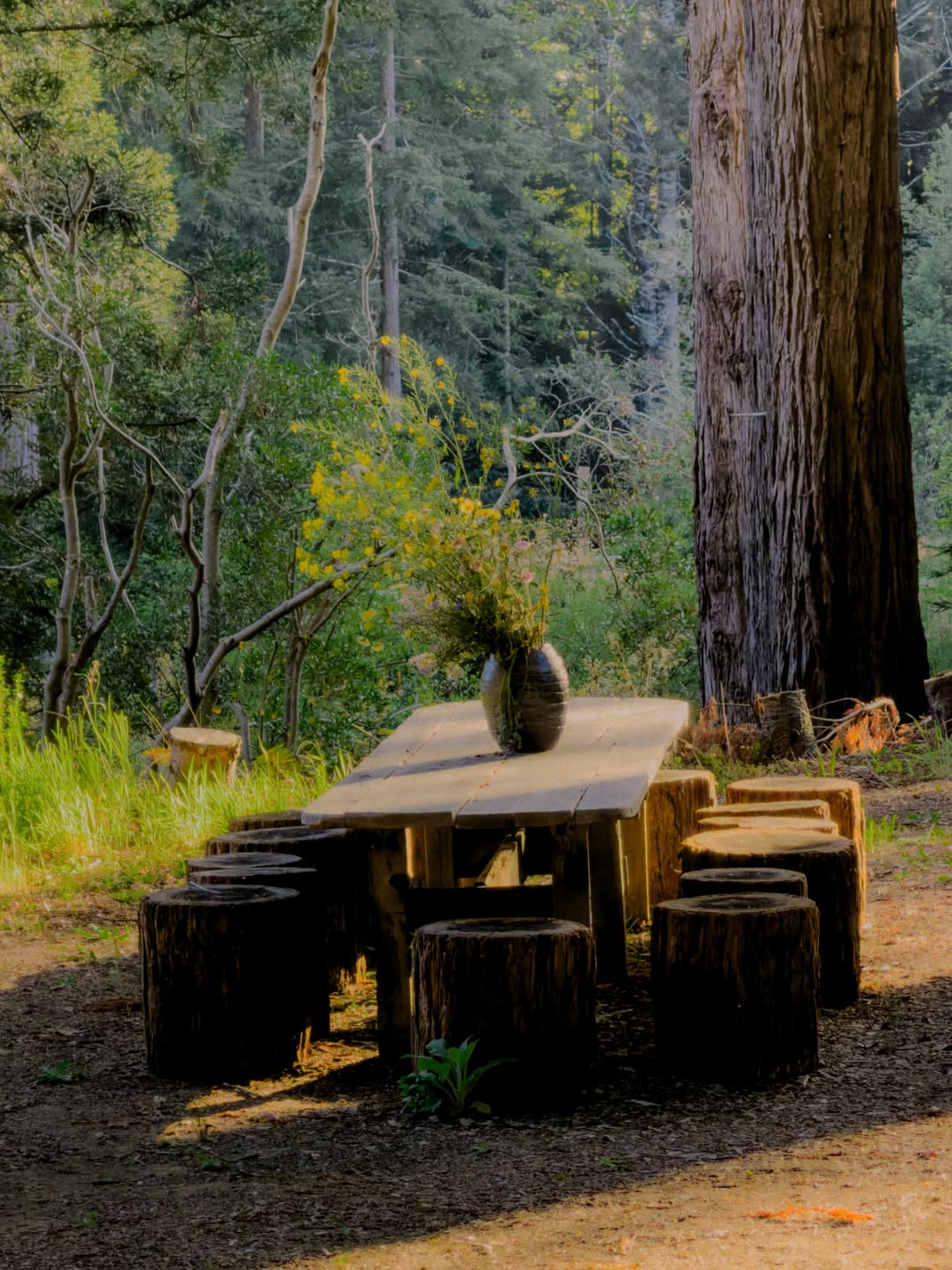 Elizabeth Weinberg X Salmon Creek Farm May. 26