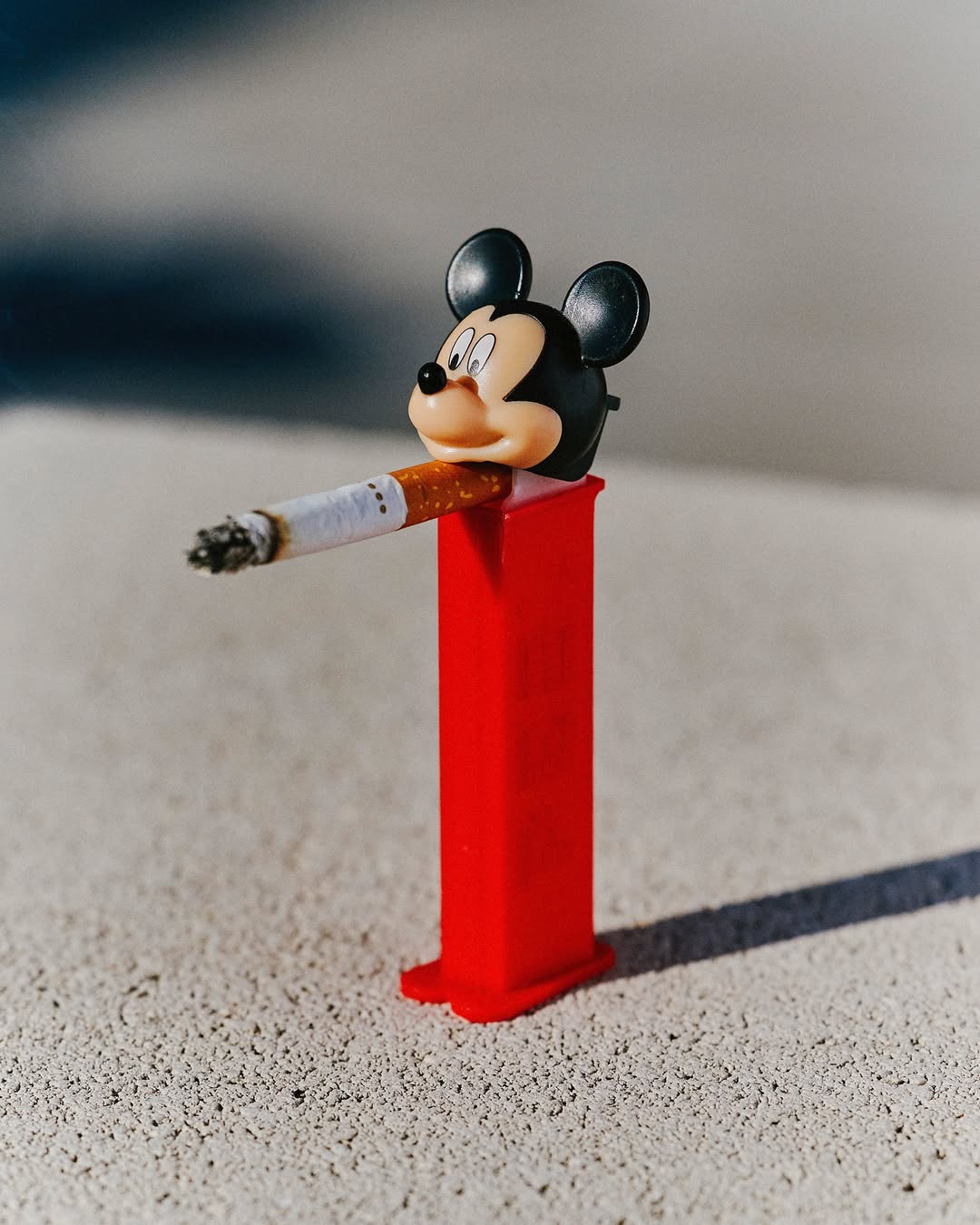 Elliott Wilcox Nov. 25