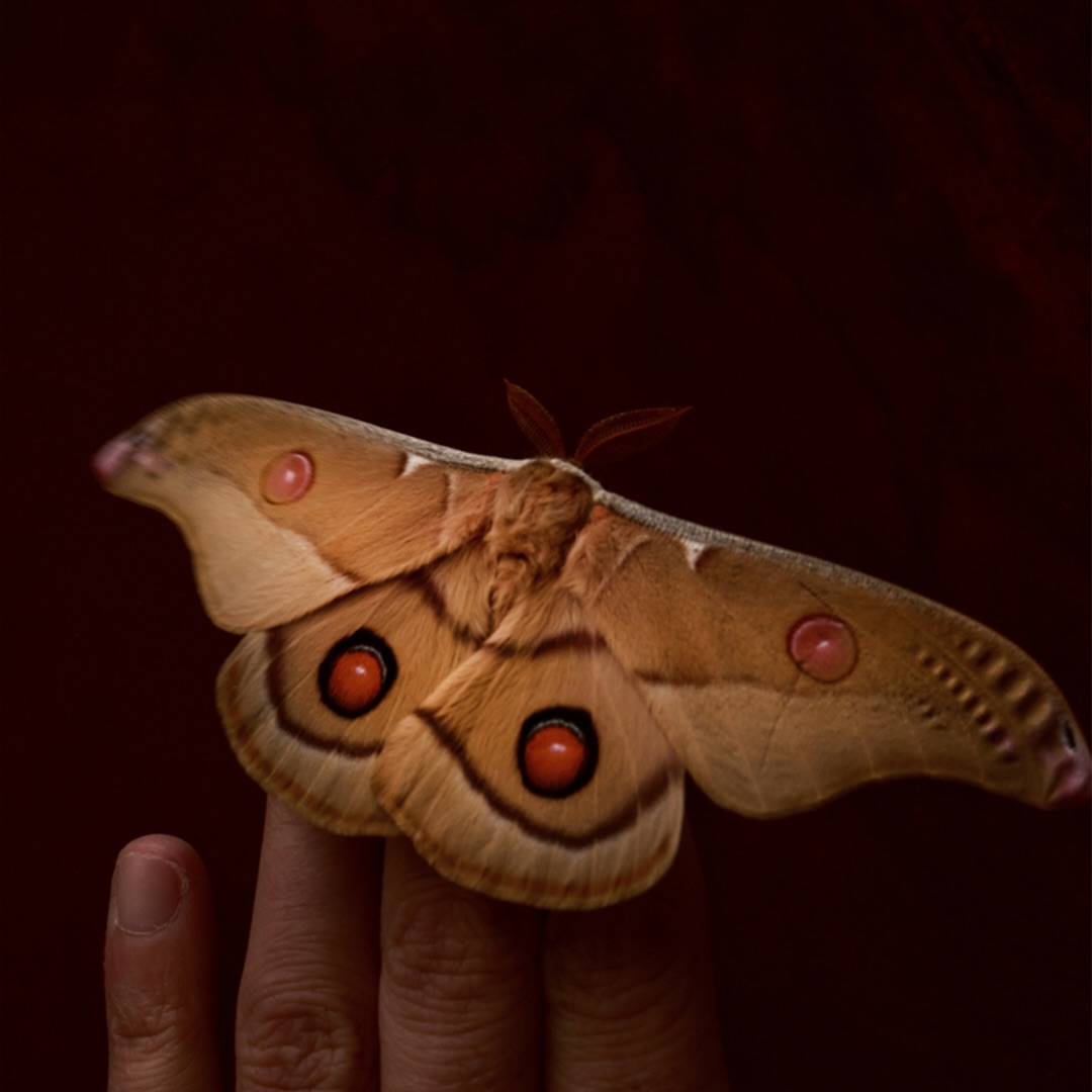 Alexandrena Parker Oct. 25