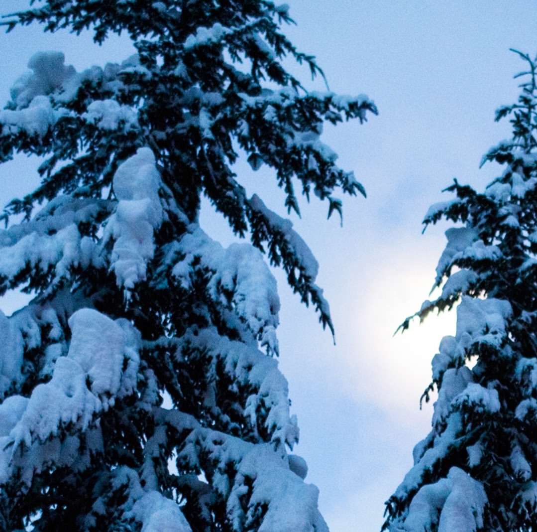 Autumn Sonnichsen Jan. 26