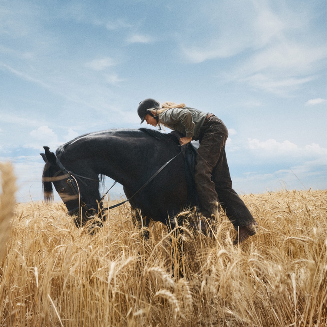 Andre Josselin