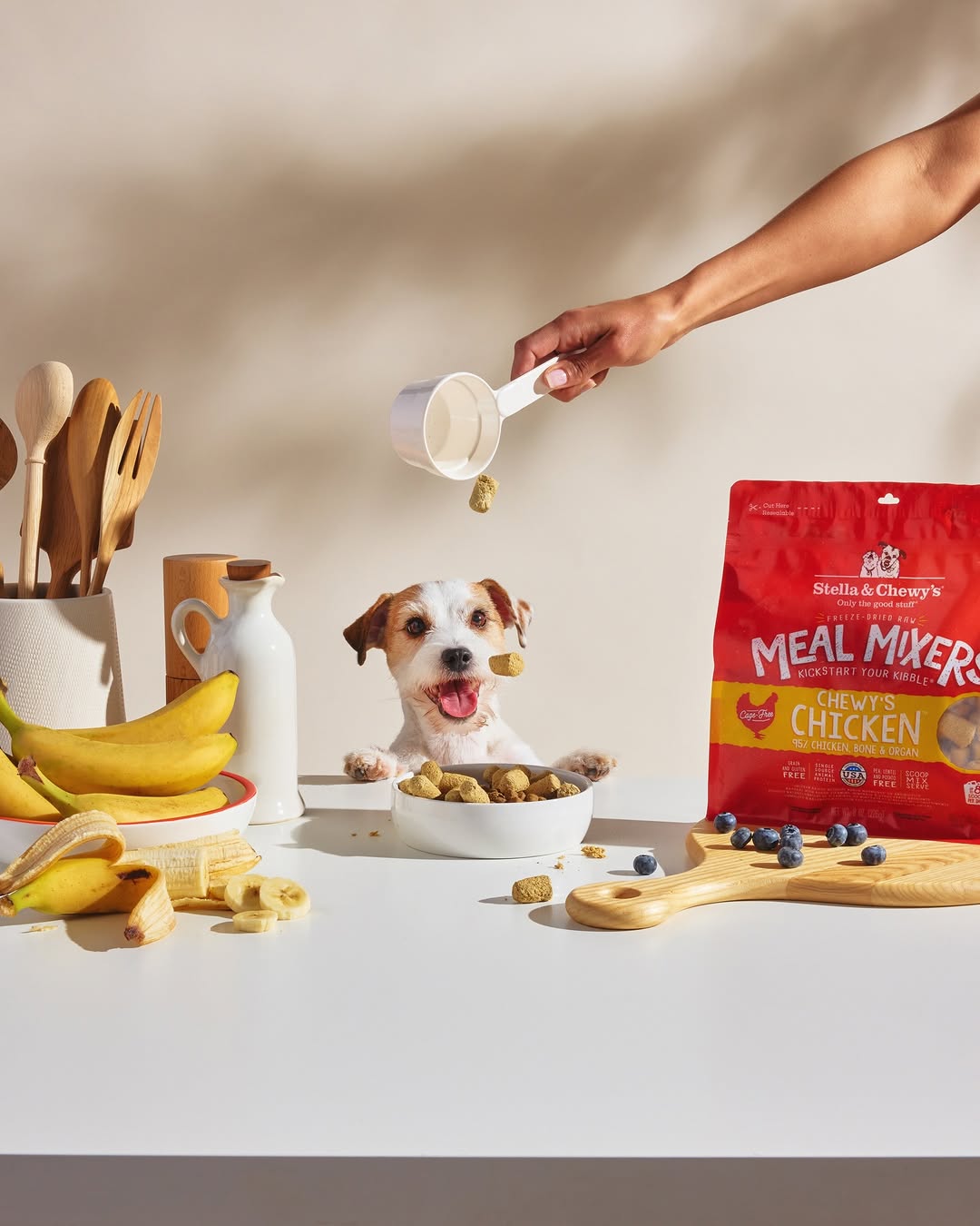 Emma Fishman X Stella & Chewy's