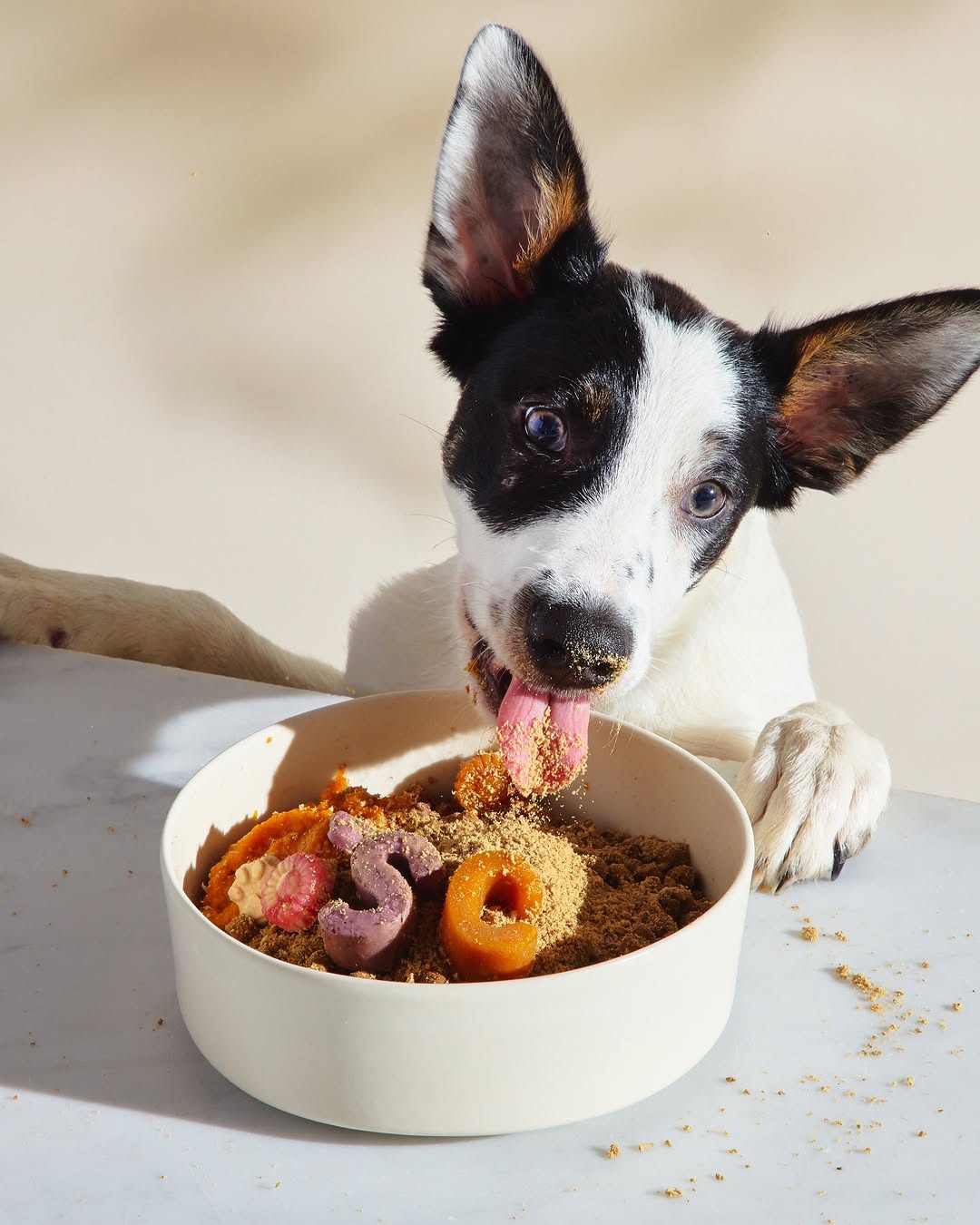 Emma Fishman X Stella & Chewy’s Mar. 26