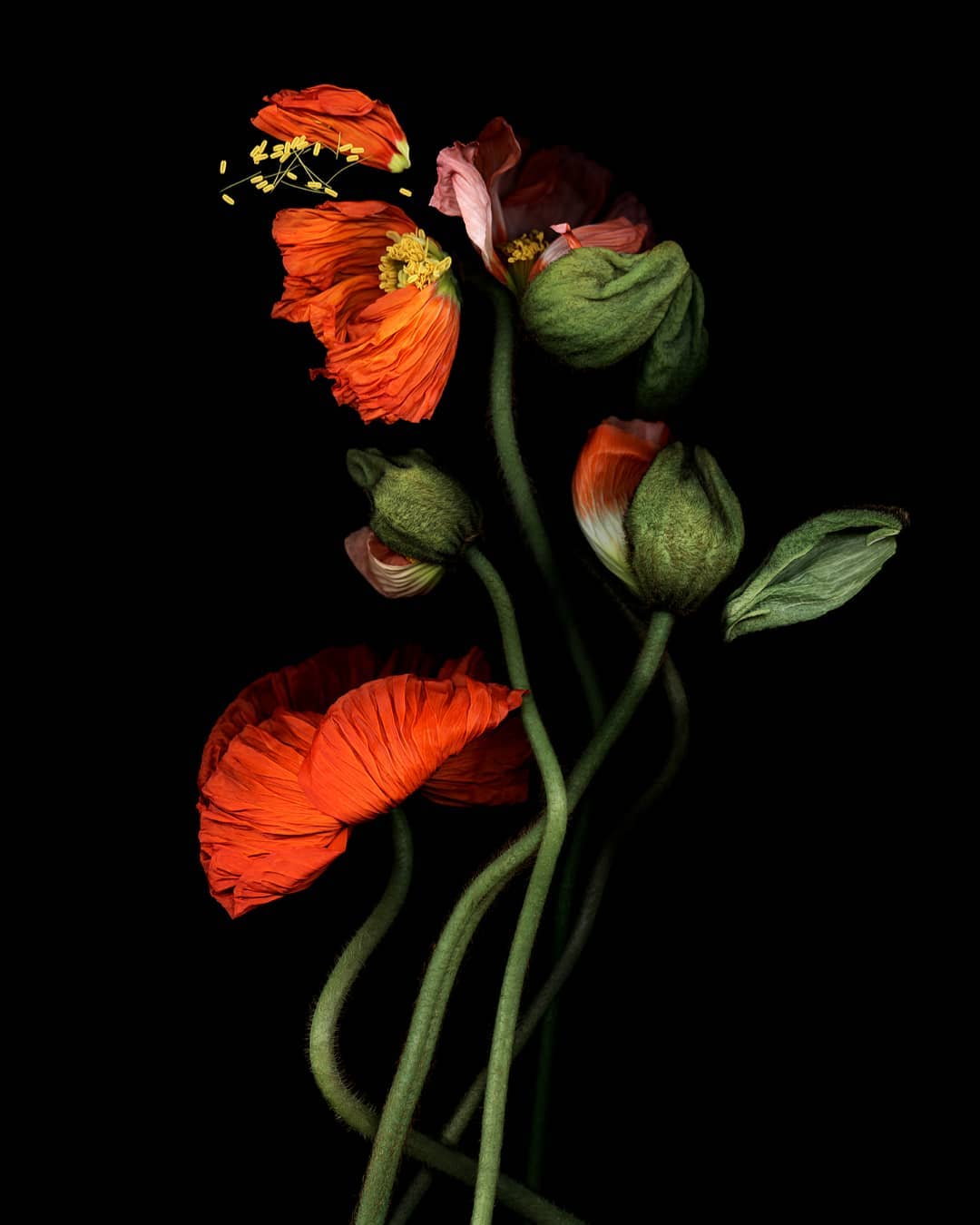 JR Galerie |  Oct. 19