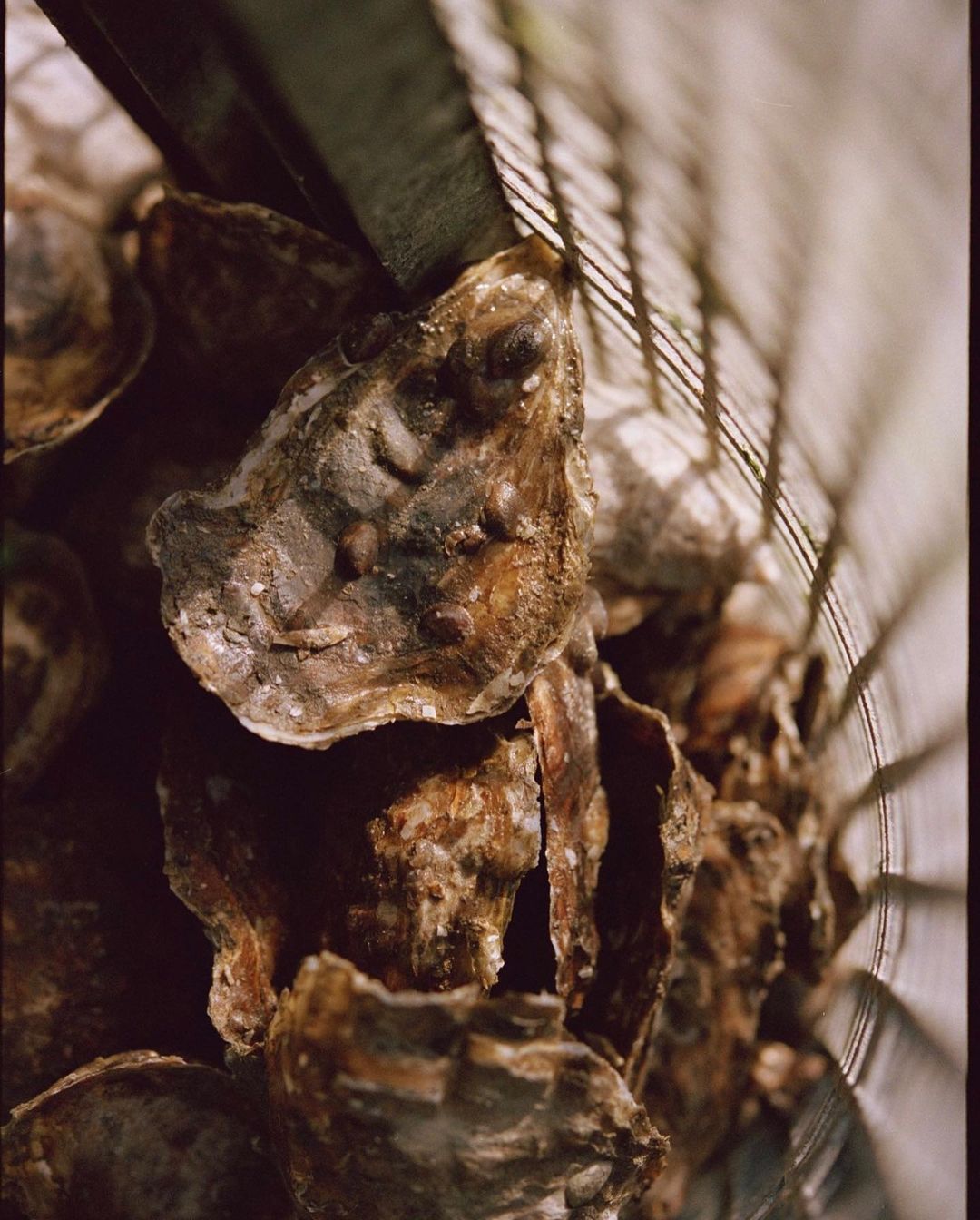 J.Crew Men's |  Jan. 23