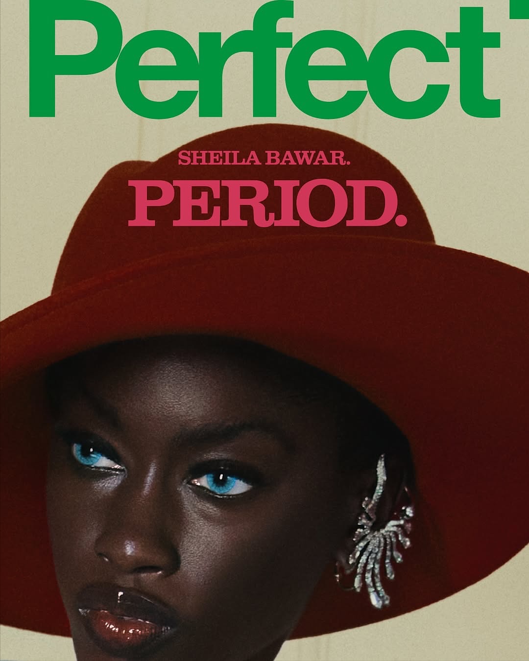 The Perfect Magazine Issue 9 “Sheila Bawar. Period”
Rafael Pavarotti
Katie Grand
2025