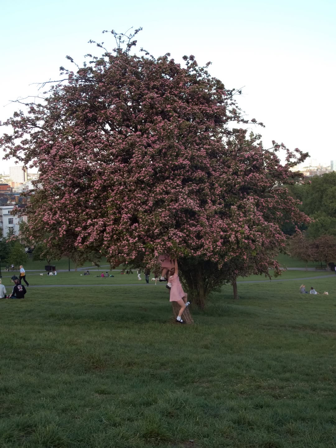 Frances Tulk-Hart Jan. 26