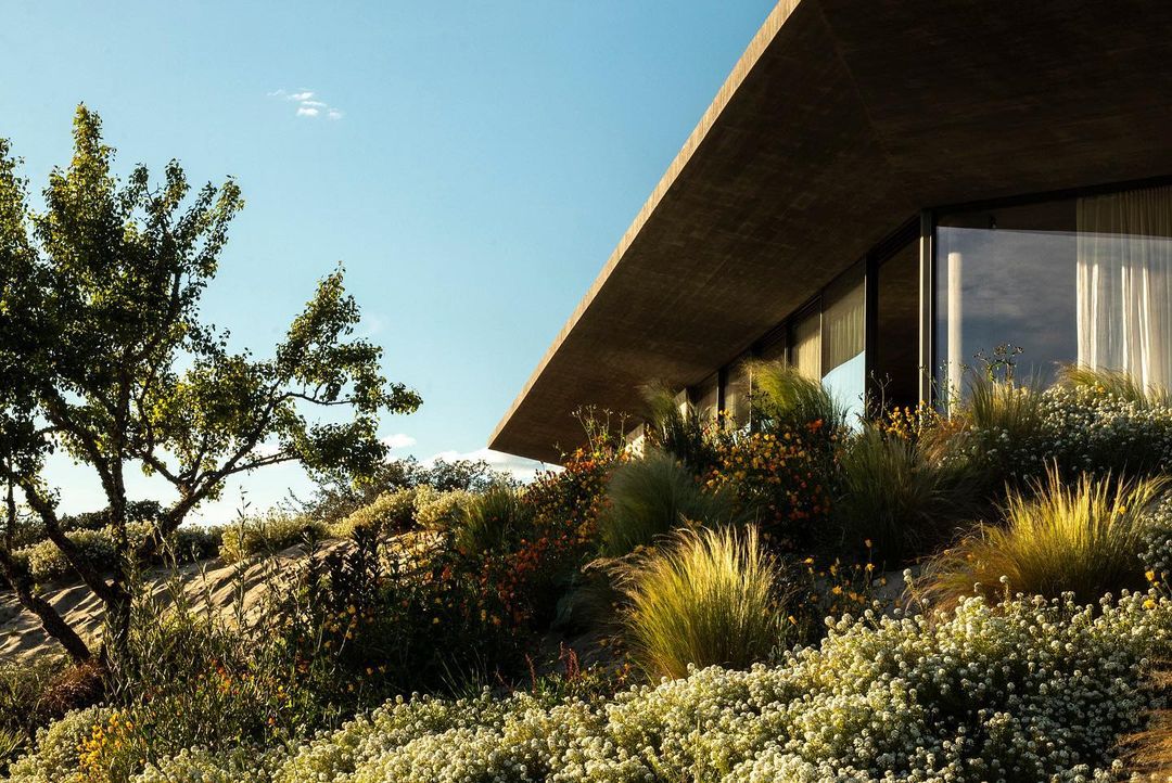 MilK Decoration |  Jun. 22