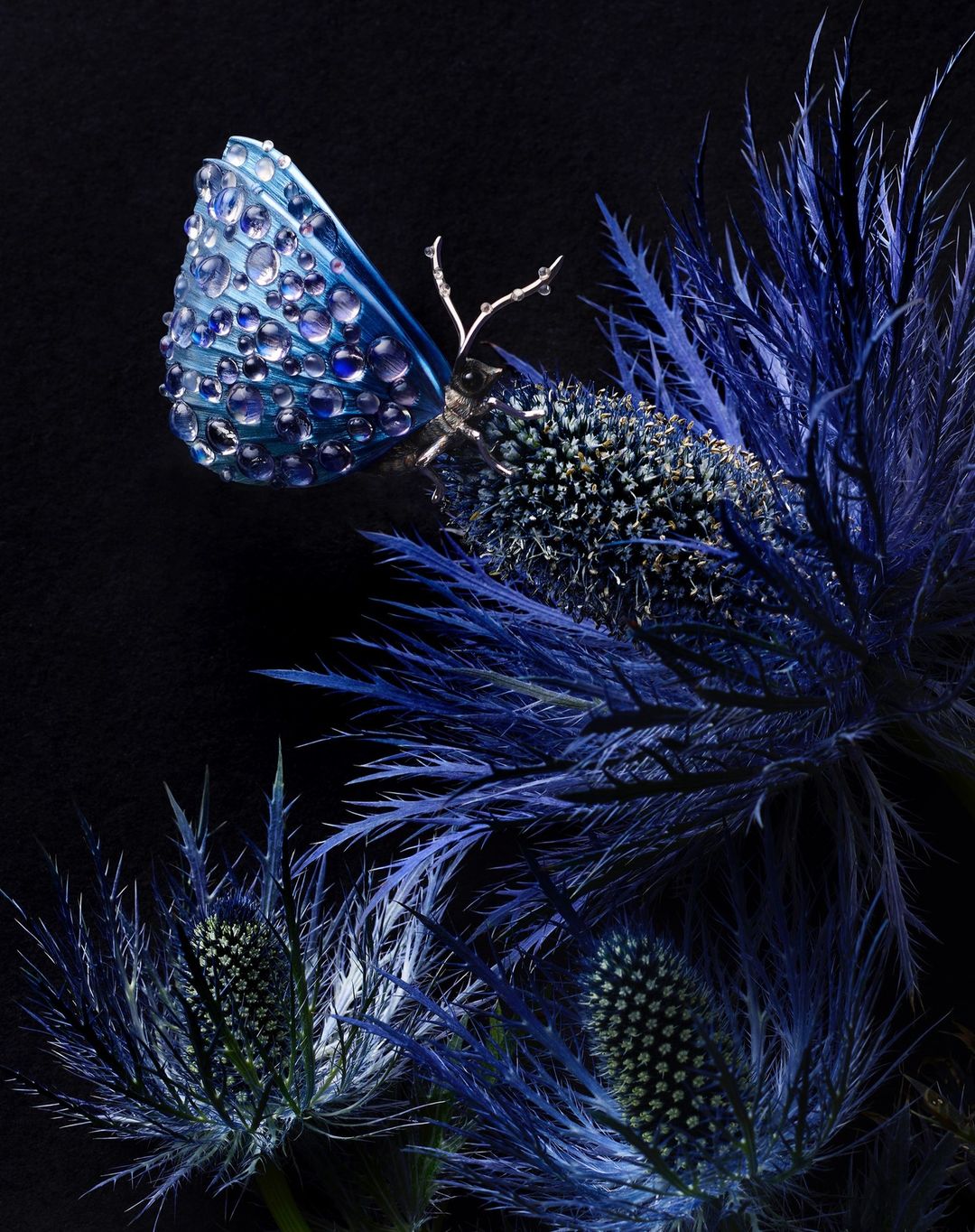 Emmanuel Tarpin |  Nov. 23