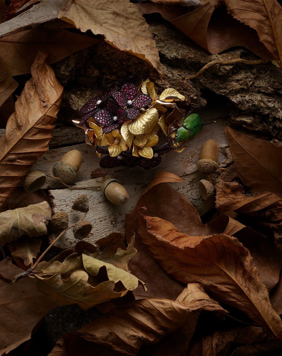 Emmanuel Tarpin |  Dec. 23