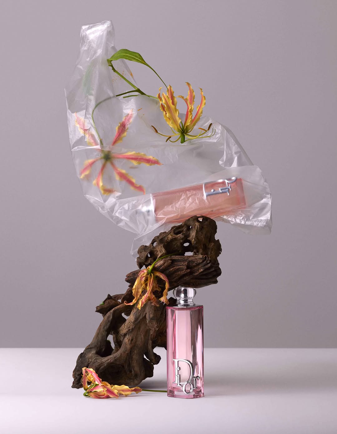 Isabelle Bonjean X Faux Q