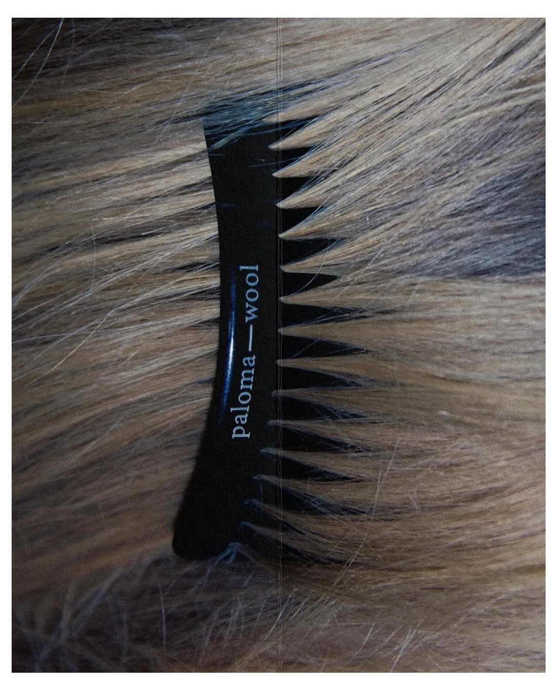 Fauve Bouwman X Paloma Wool Oct. 25