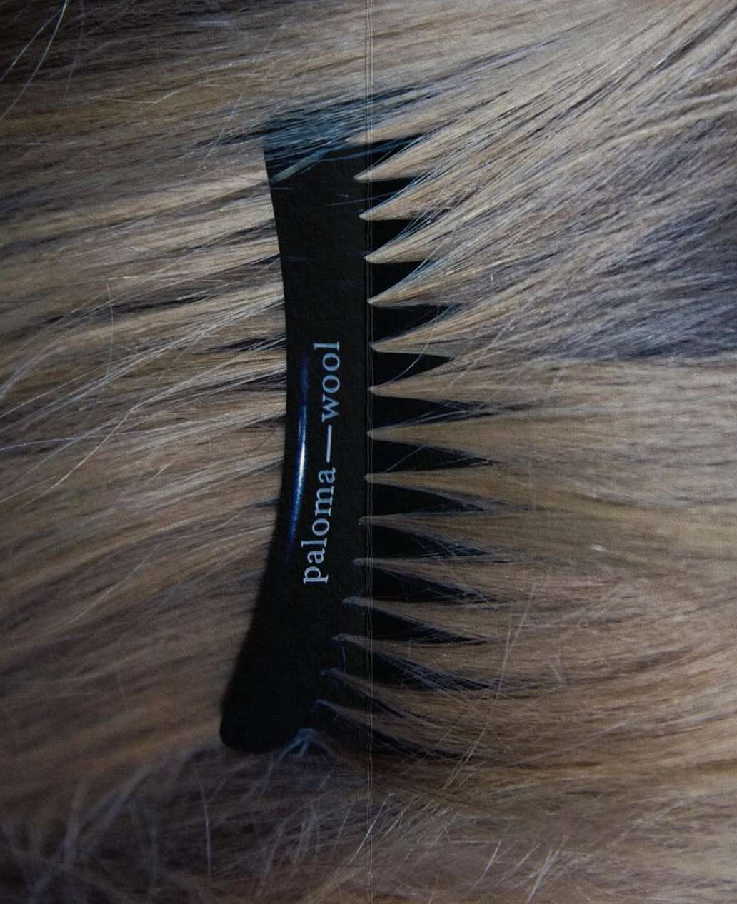 Paloma Wool |  Oct. 25