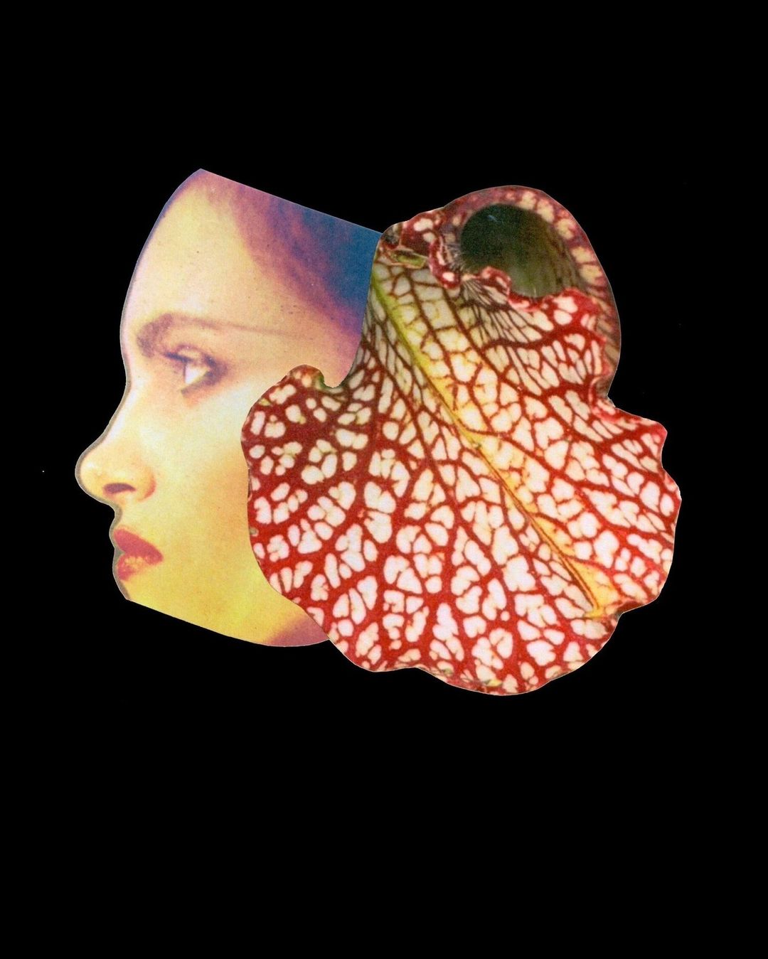 Magazine magazine |  Jul. 23