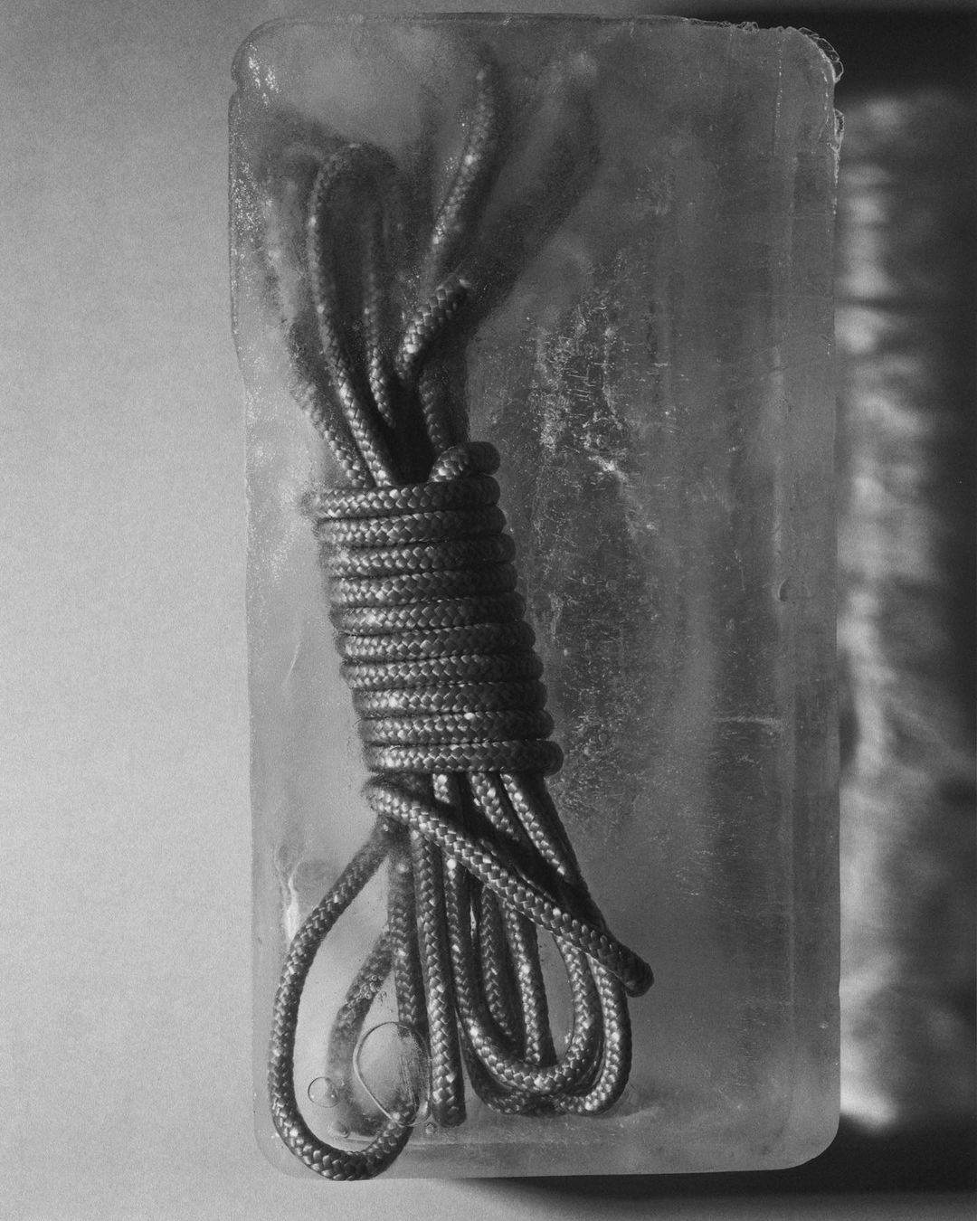 HARD PACK |  Apr. 23