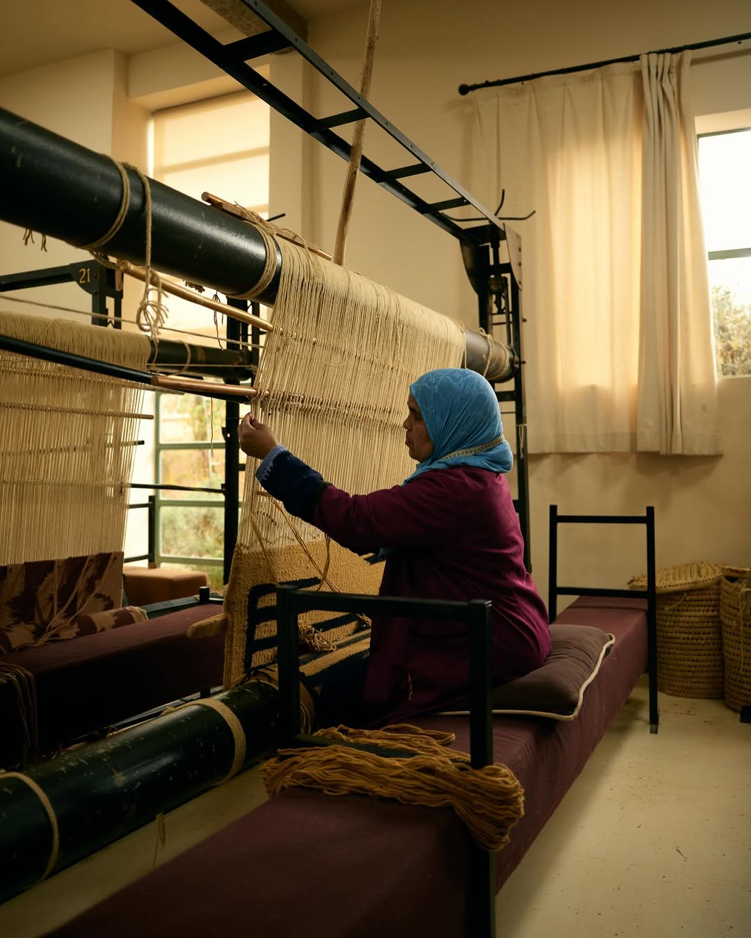 Fernando Marroquin X Beni Rugs