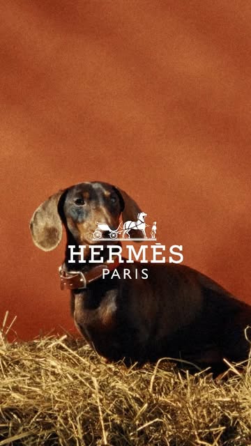 Hermès |  May. 26