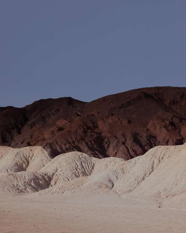 Jesse Rieser
