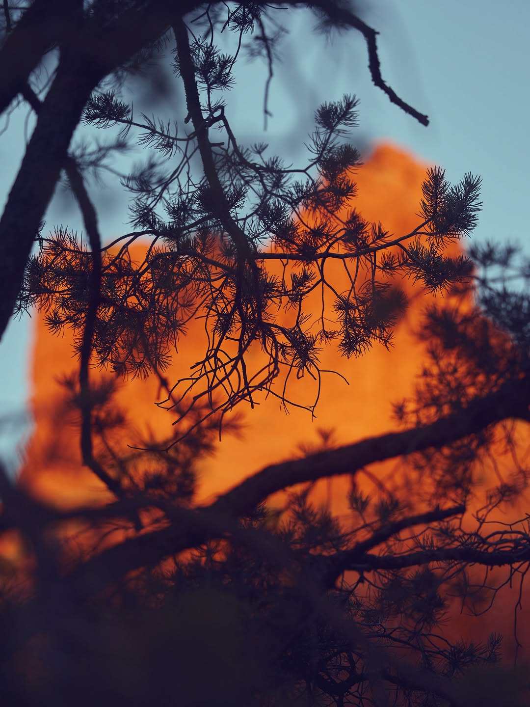 Wildsam |  Jun. 26